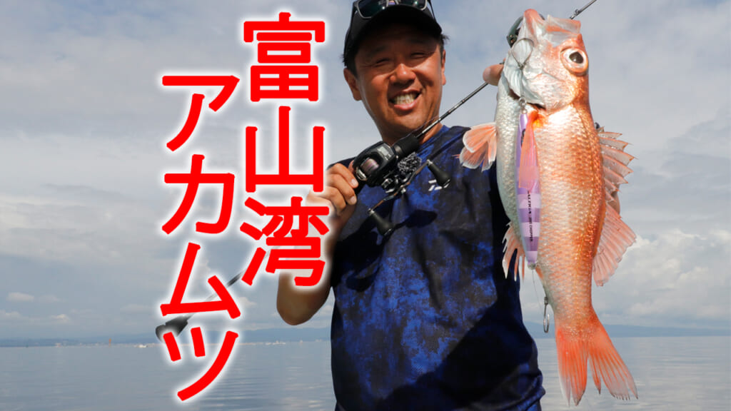 アカムツなのに浅海でお手軽!? 富山湾『高級魚』ゲームの簡単