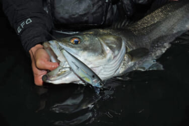 一生分の釣り糸…?】PEラインを超えた超性能『スーパー 一生分の釣り糸…?】PEラインを超えた超性能『スーパー