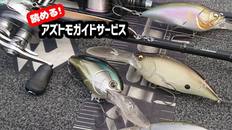 ｜秋の琵琶湖バスでパワーゲームが威力を発揮！イチオシルアー『BIG-M』とは？【無料で読めるアズトモガイドサービス】