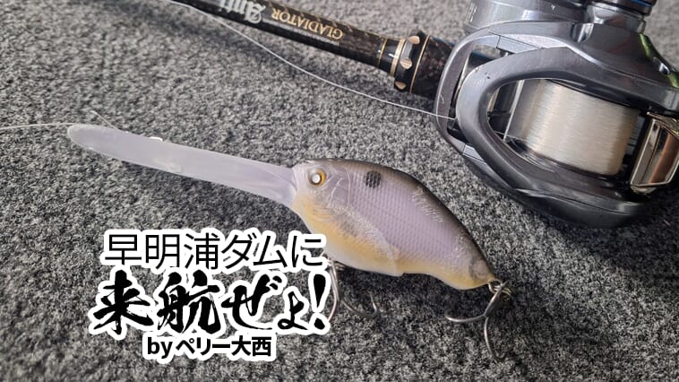 ｜【こんなに長くて大丈夫なの？】しっかり潜るのに軽々巻ける=秋のダム湖で強い！秋のリザーバーのバス釣りを攻略するための最適クランクベイトを名物ガイドが紹介！【早明浦ダムに来航ぜょ！】