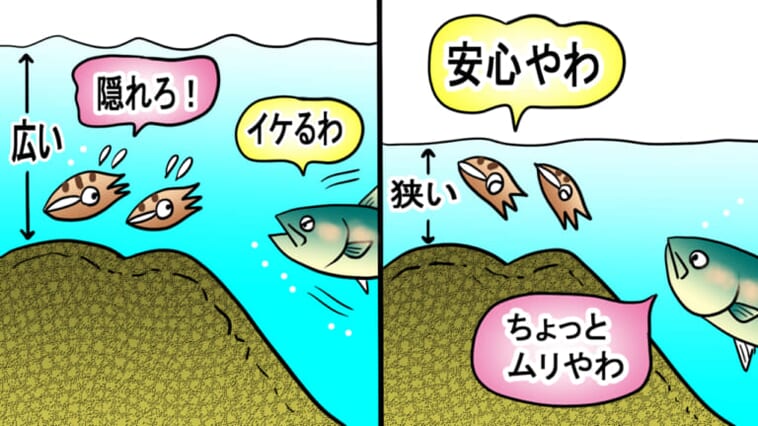 ｜青物が入れない場所？秋エギングを楽しむための磯の地形の考え方