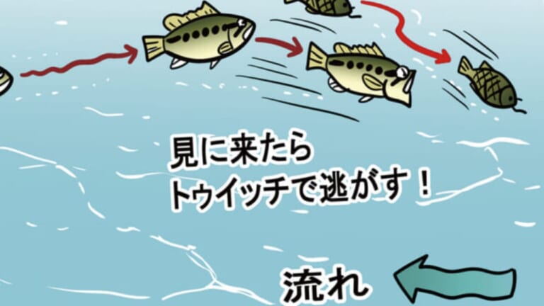 「異常に釣れました」「ぽんぽん釣れた」スレた場所こそ圧倒的ルアーパワー。セッティングが決まればあとは信じて投げるだけ！