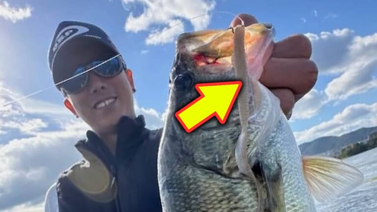 「秋の釣りならでは」「もはやエサ…」とにかくバイトが多いディープクランクです！ ルーシー祭りも継続中☆【大西健太の琵琶湖ガイドレポート】