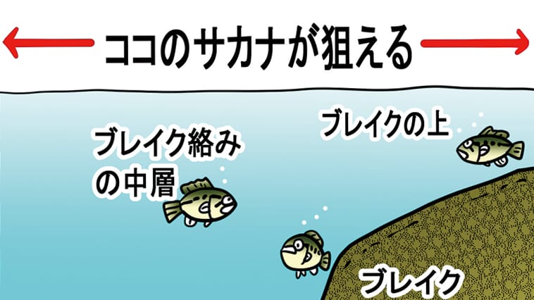 ｜【釣りたいルアーNo.1!?】真骨頂は速く広く探れるコト！まずは基本となる泳がせる水深を覚えよう！