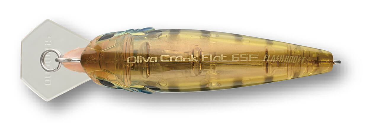 |黒田健史激白!「持っていてもあまり使わない人が多いかも…」シマノ製のフラットサイドなら弱点を克服している⁉