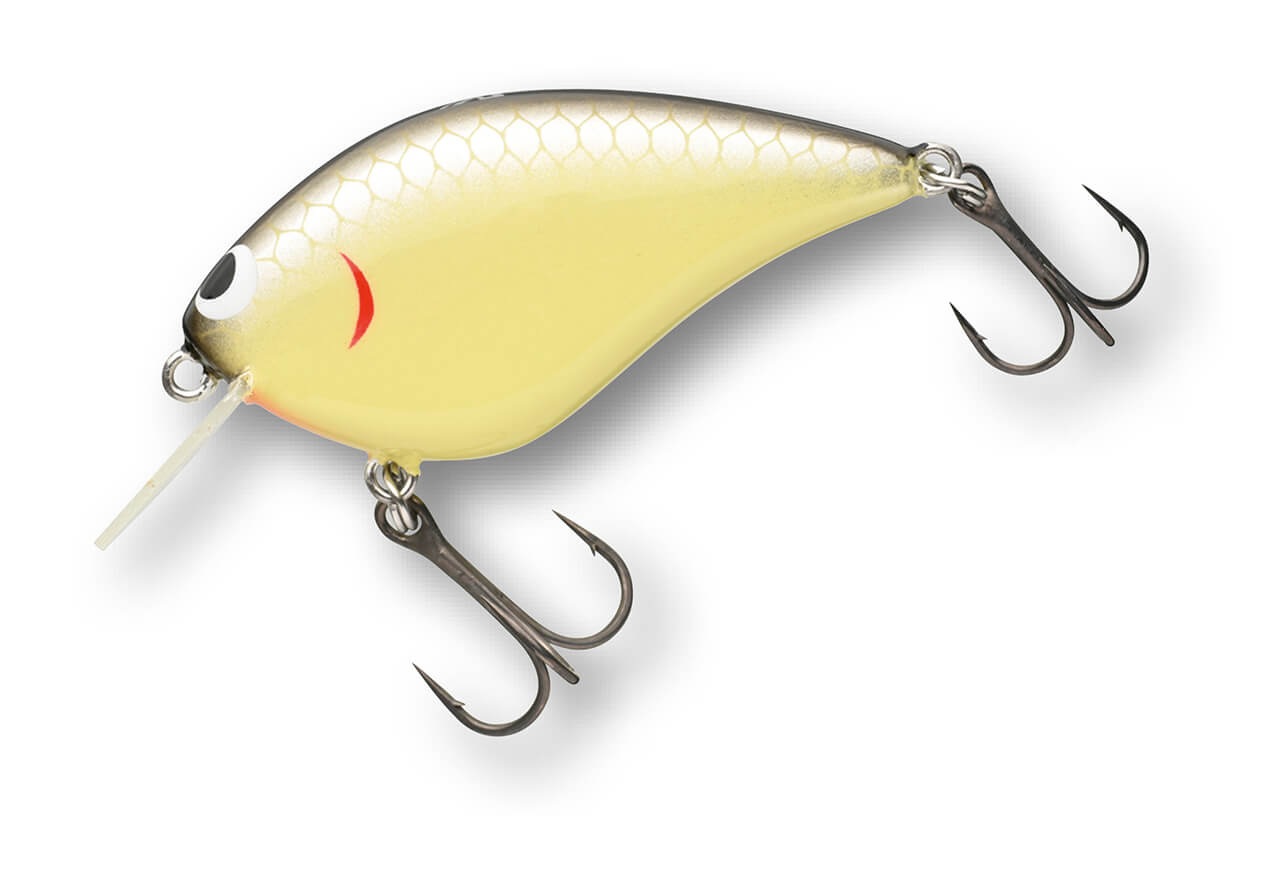 |【アクション動画】知ってる人はコッソリ使ってる⁉早野剛史プロ渾身のクランクベイトたち