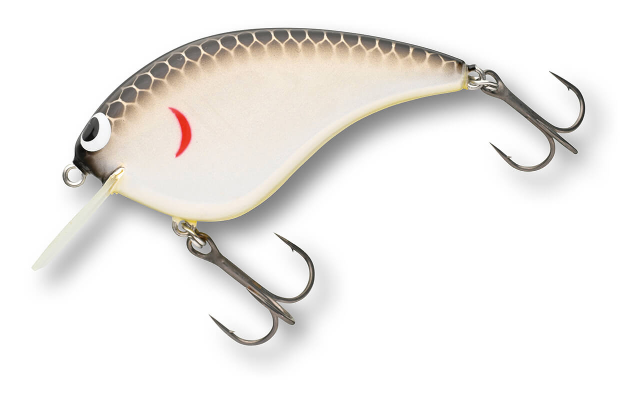 |【アクション動画】知ってる人はコッソリ使ってる⁉早野剛史プロ渾身のクランクベイトたち