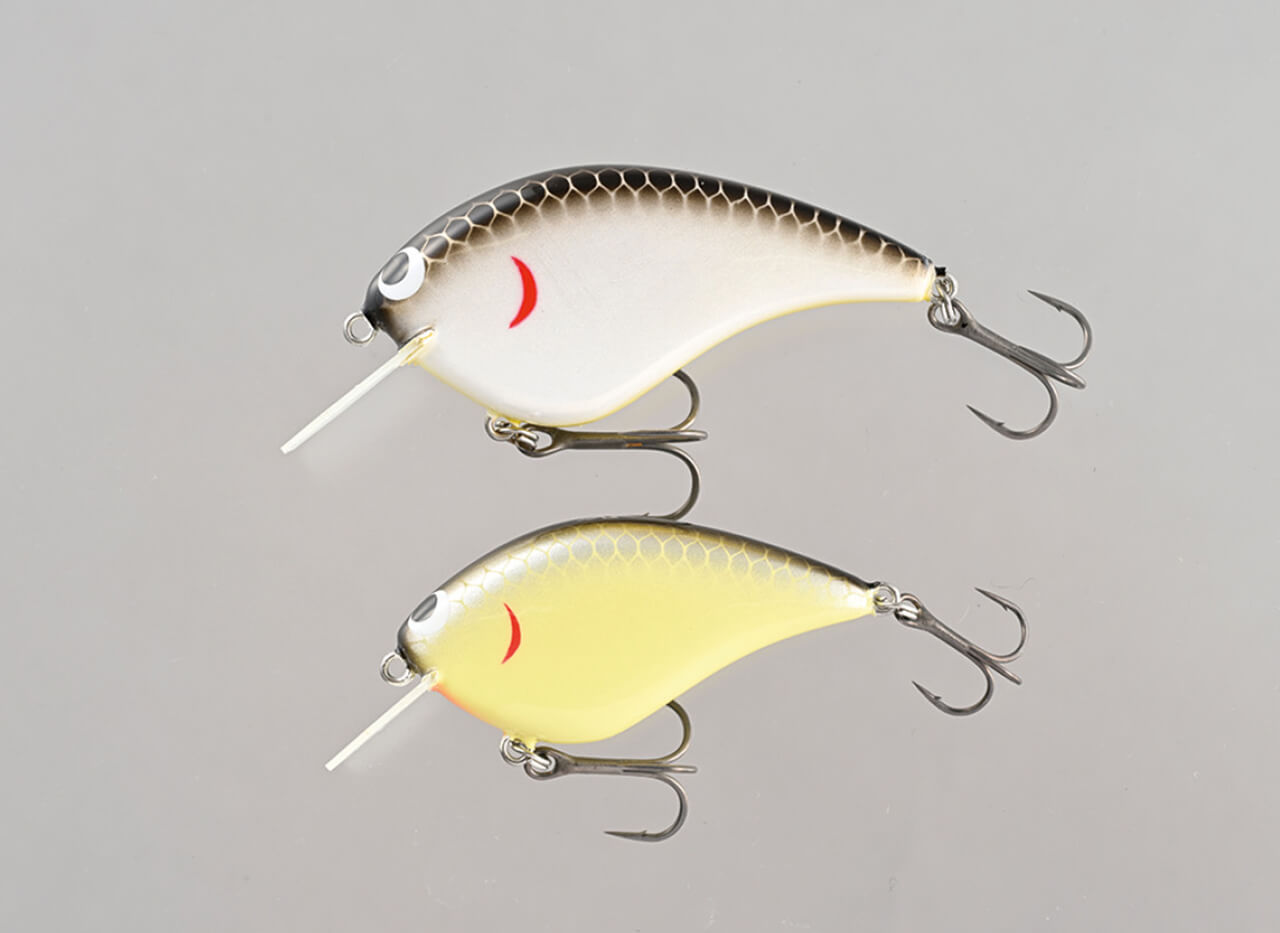 |【アクション動画】知ってる人はコッソリ使ってる⁉早野剛史プロ渾身のクランクベイトたち