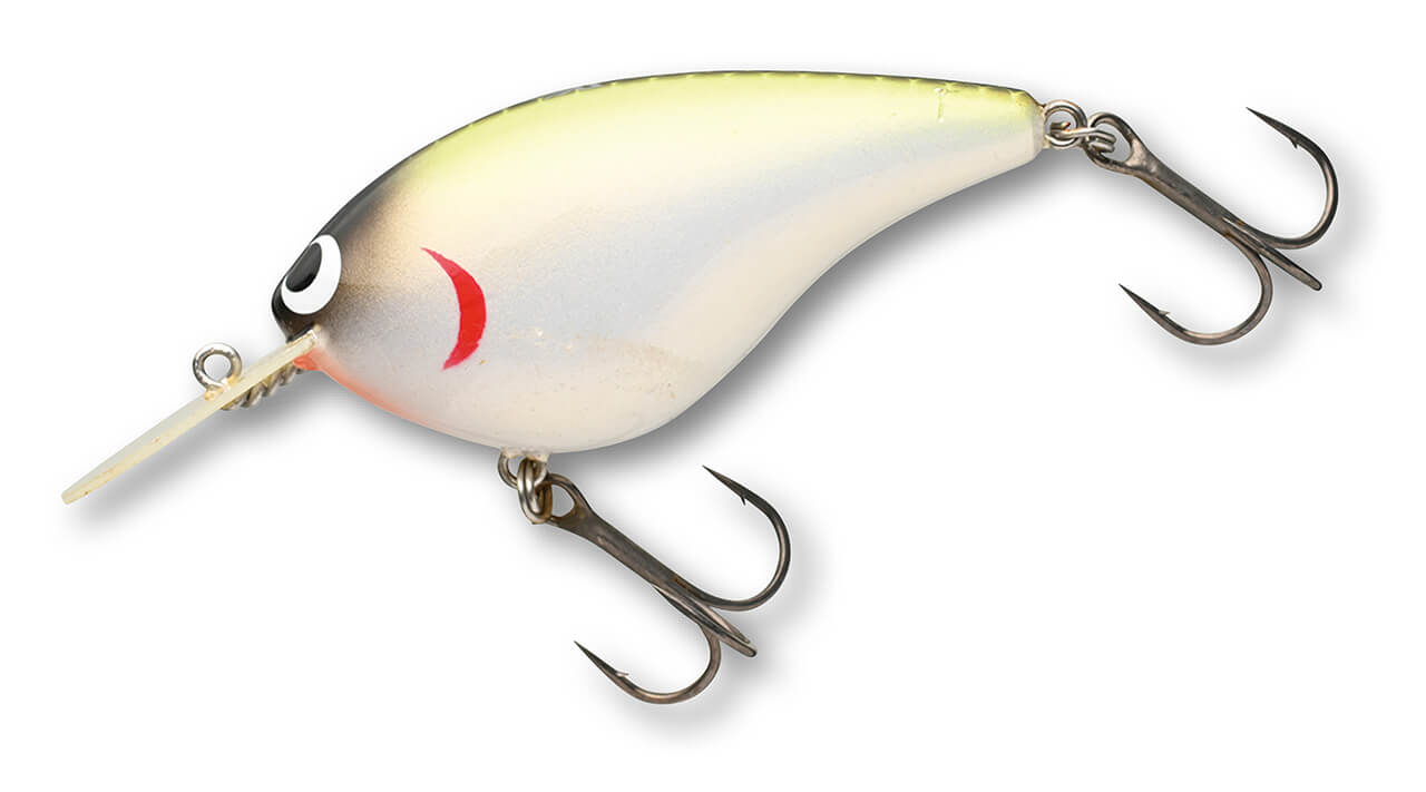 |【アクション動画】知ってる人はコッソリ使ってる⁉早野剛史プロ渾身のクランクベイトたち