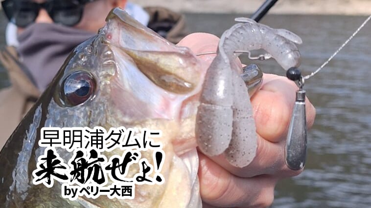 【冬でも釣れる必殺リグ!!】キモは軽くしないこと!細かく沈めてノーシンカー時間をたっぷり取る【早明浦ダムに来航ぜょ!】
