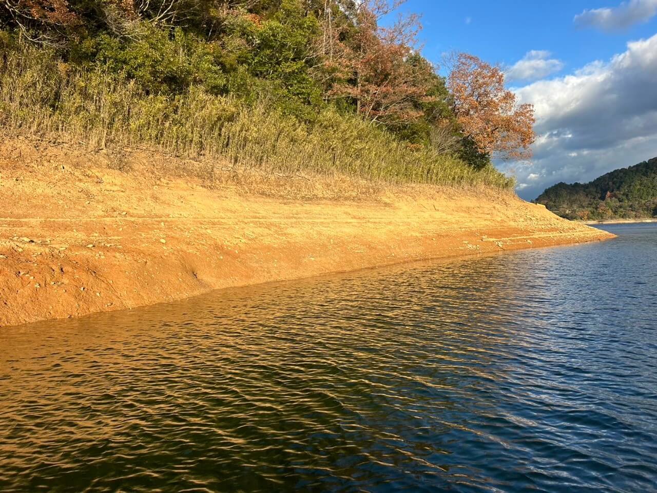 |【冬でも釣れる必殺リグ!!】キモは軽くしないこと!細かく沈めてノーシンカー時間をたっぷり取る【早明浦ダムに来航ぜょ!】