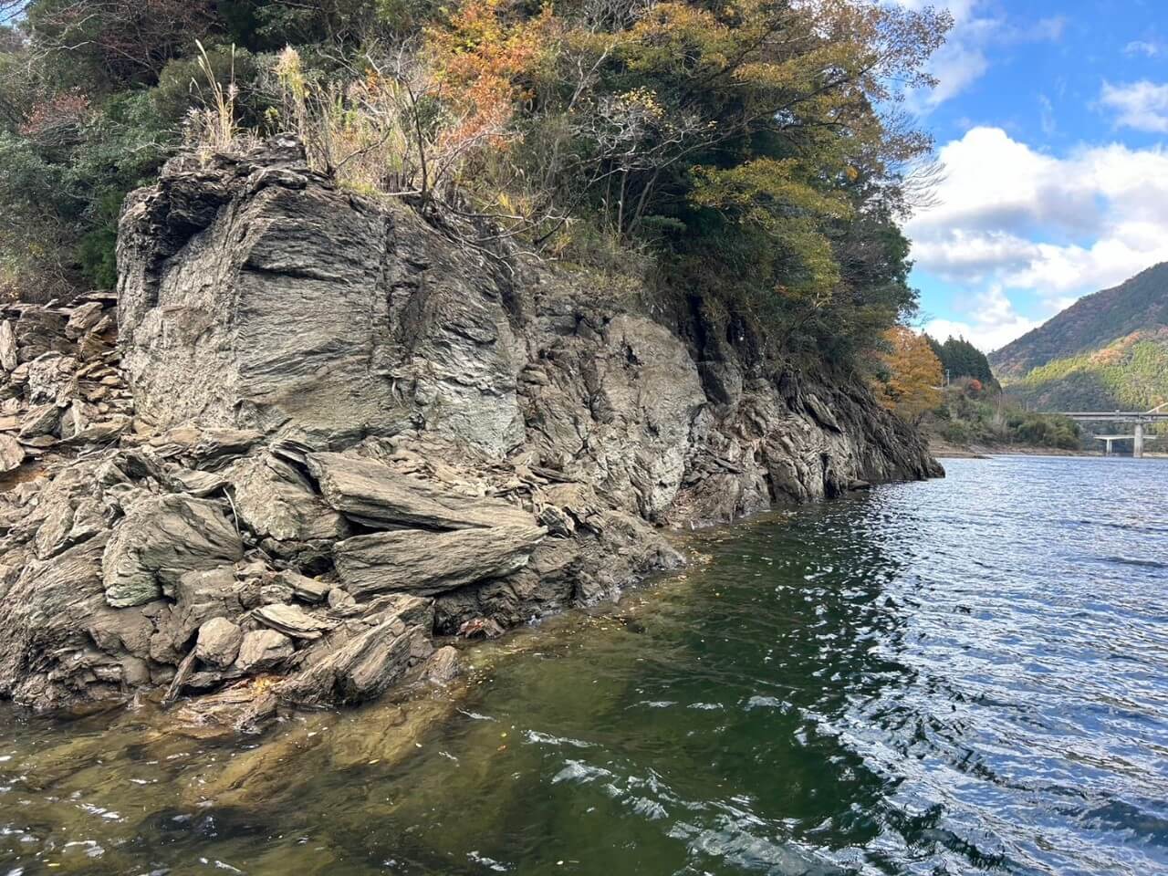 |【冬でも釣れる必殺リグ!!】キモは軽くしないこと!細かく沈めてノーシンカー時間をたっぷり取る【早明浦ダムに来航ぜょ!】