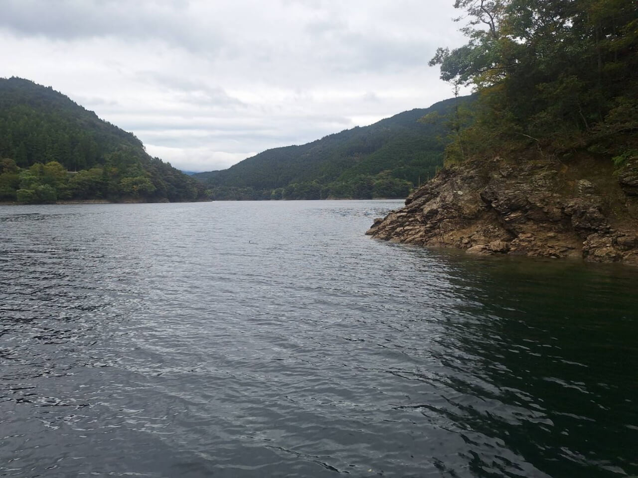 |【冬でも釣れる必殺リグ!!】キモは軽くしないこと!細かく沈めてノーシンカー時間をたっぷり取る【早明浦ダムに来航ぜょ!】