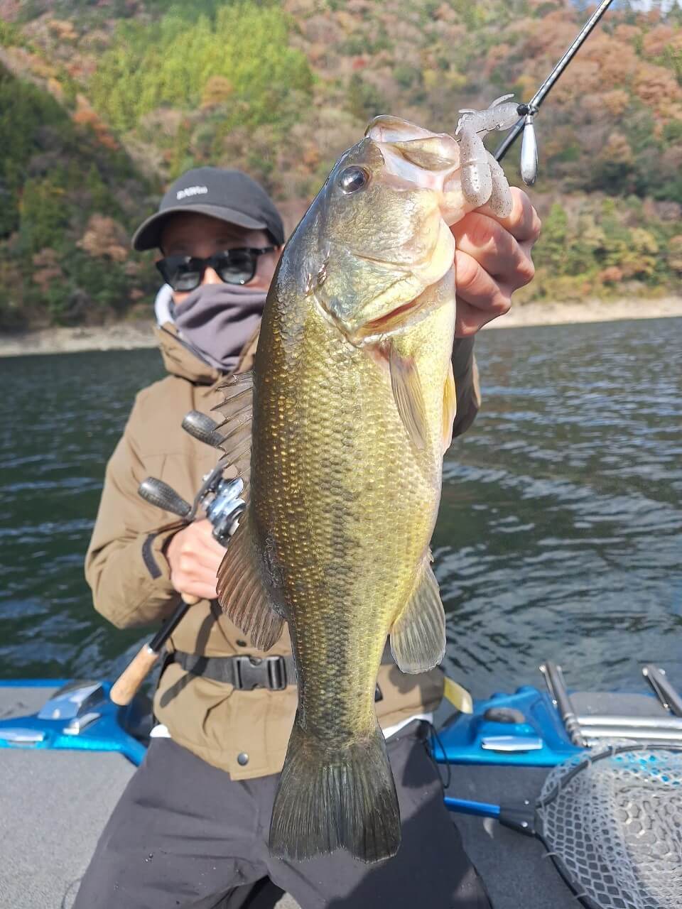 |【冬でも釣れる必殺リグ!!】キモは軽くしないこと!細かく沈めてノーシンカー時間をたっぷり取る【早明浦ダムに来航ぜょ!】