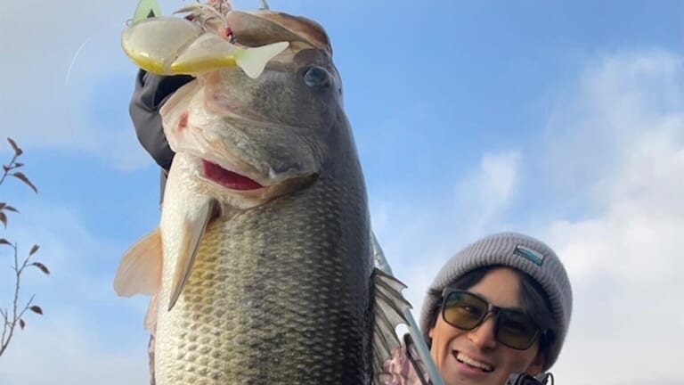 「こんなでっかいルアー釣れないよ！」「いやいや釣れないときこそビッグベイトが効くんです」その理由を解説！