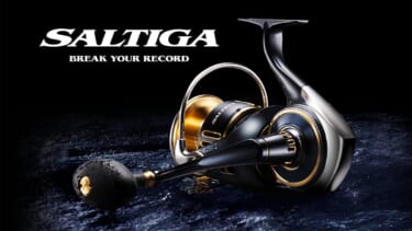 ダイワ エメラルダス シャイン LC-LI 3.5 数多く 新品未開封
