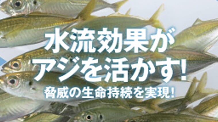 ｜アジを逃がしたら釣れなくなる!! そんな都市伝説（？）を解決してくれる究極の箱があった！