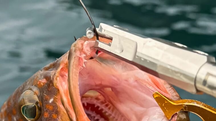 ｜【釣りが中止になる事故】魚が暴れて釣り針が手に刺さる…そんなハプニングを未然に防げるアイテムに大型モデル登場！