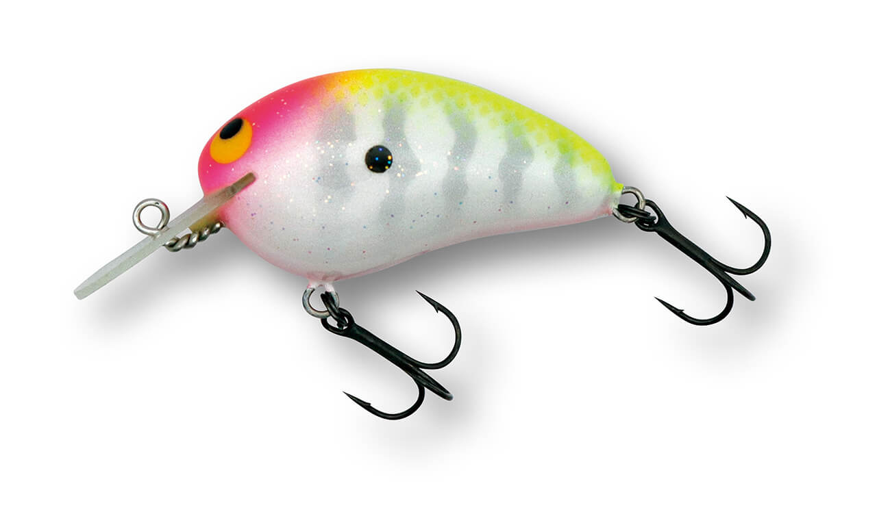 ｜【入手困難⁉】MPB LURESの実戦的クランクベイト9選＋α