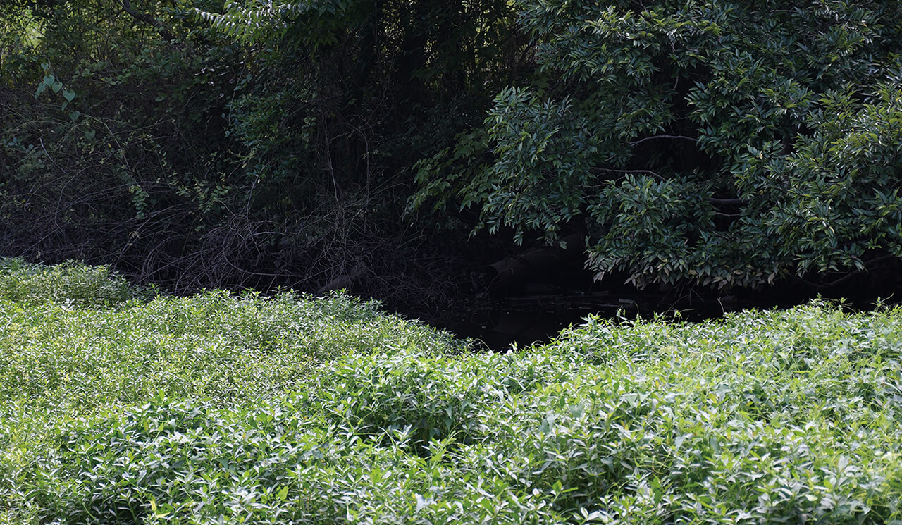 |櫻井亮がクランクベイトで釣るために実践している15のコト