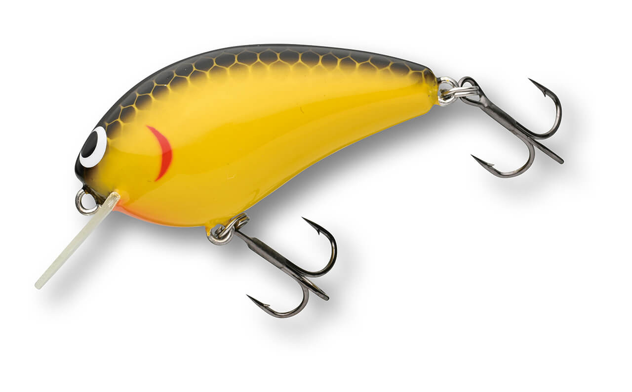 |高浮力素材の強みと手塗りらしい美しさが光る九州発のクランクベイトたちの動き、気にならない?