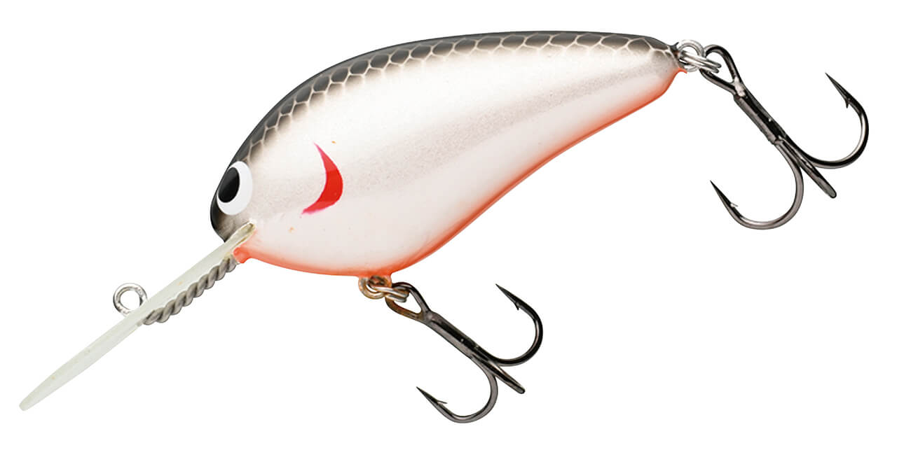 |高浮力素材の強みと手塗りらしい美しさが光る九州発のクランクベイトたちの動き、気にならない?