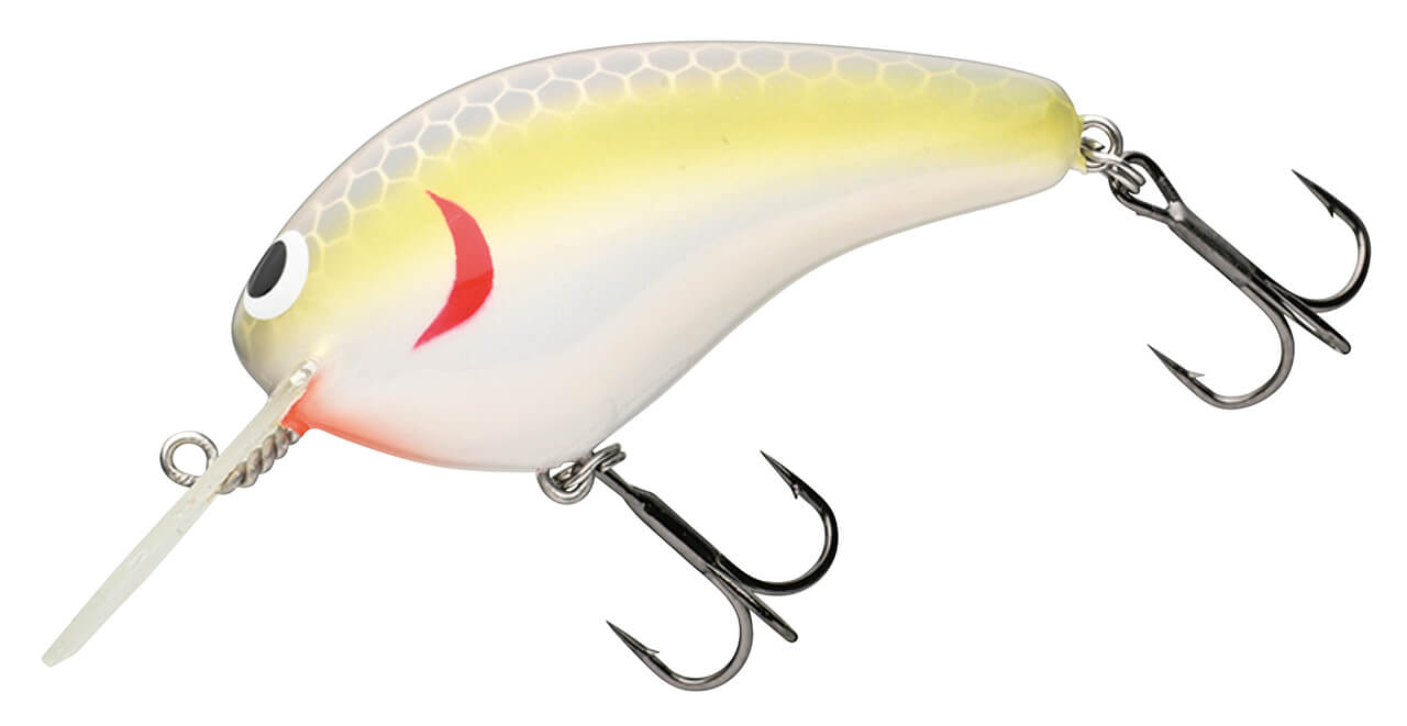 ｜高浮力素材の強みと手塗りらしい美しさが光る九州発のクランクベイトたちの動き、気にならない？