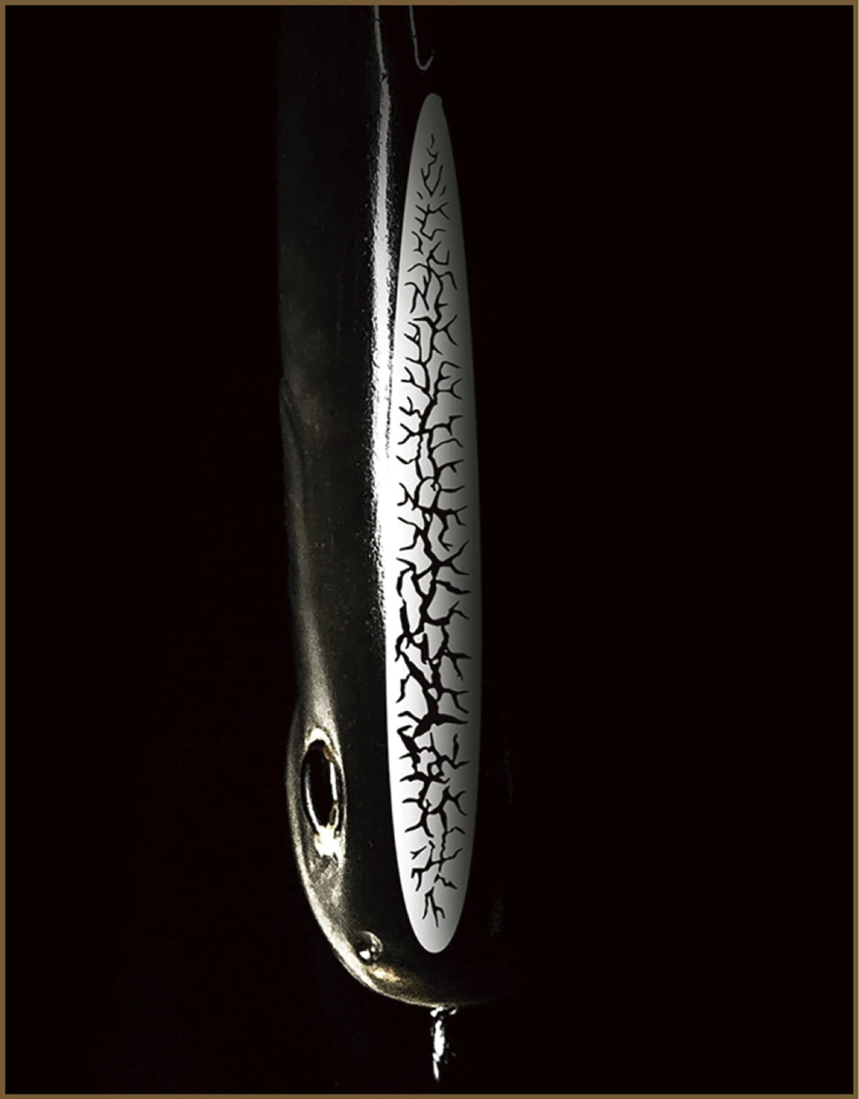 |【今すぐ買える!】ルアー釣りに便利な19のアイテム大集合!持ってて当然のギアから驚きの小物まで!