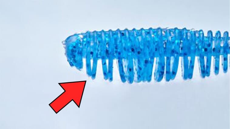 ｜【定番とは違うからこそ釣れる!!】ピンテールなのにファット（に見える）アジングワーム【リブに込められた深～い秘密】