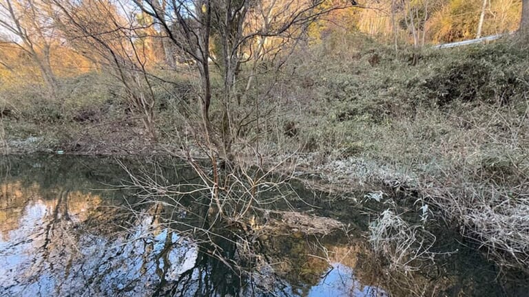 「水位が上昇したんだな」「タイミングさえ合えば…」岡山県の有名なダムで起きた出来事。「悔しいけど今回はお手上げだった…」