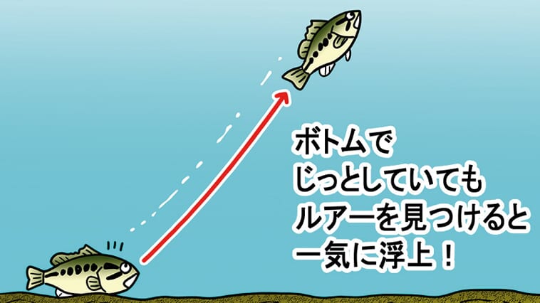 寒くても浮上して食ってくる！冬のバス釣りでも「朝イチ」がやっぱり大切だ