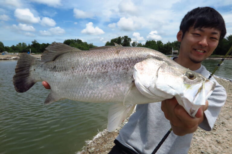 クアラルンプールのルアー釣り専用の釣り堀でキャッチした、バラマンディ。