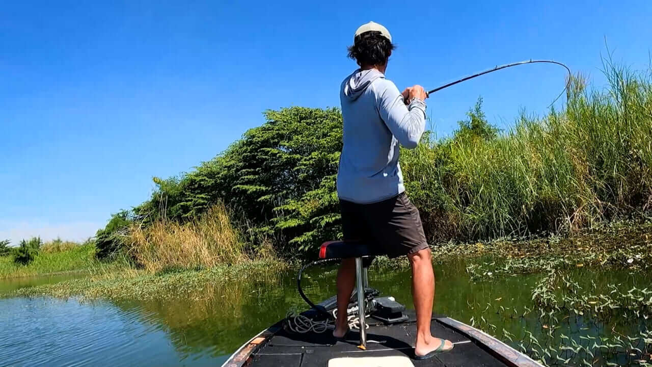 ｜関係者以外立ち入り禁止のスペシャルな釣り場!? 「ジャイアントスネークフィッシュ」が繁殖する池で10kgの『チャドー』を目指す【『釣り』と黄金郷】