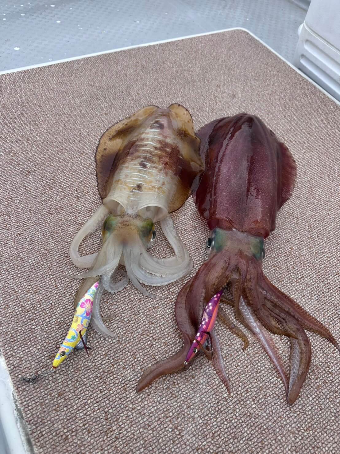 ｜知る人ぞ知る！ロングセラーのあの『餌木』についにハイサイ探偵団コラボのカラー投入！