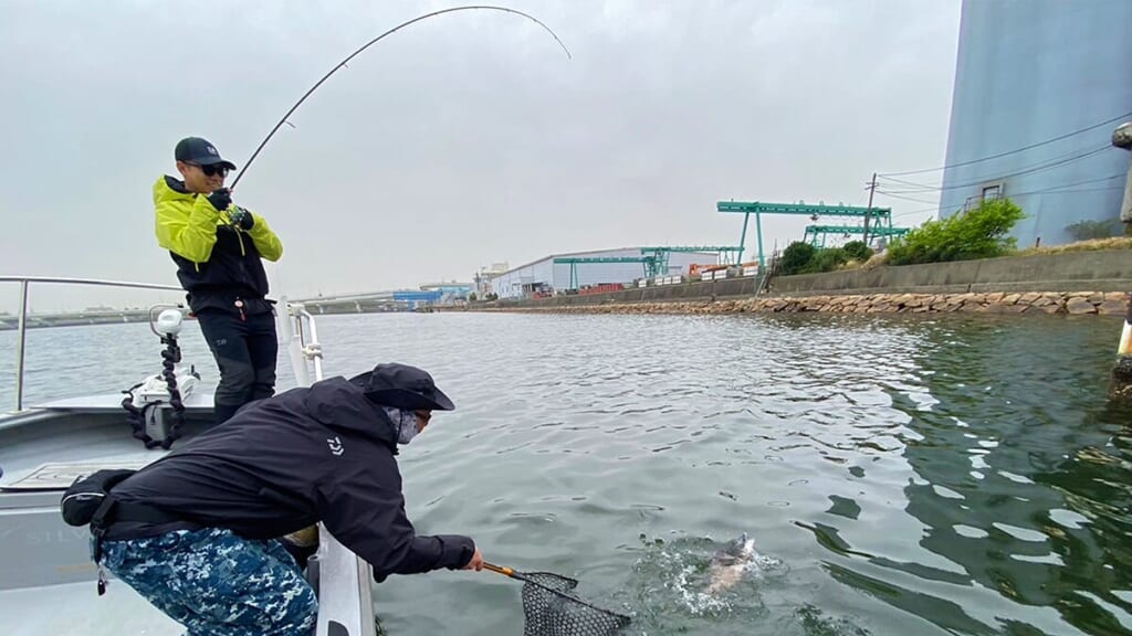 欧州車マニア　シルバーウルフEX 72ML-S DAIWA（釣り） ダイワ 25 シルバーウルフ EX 72ML-S (チニング