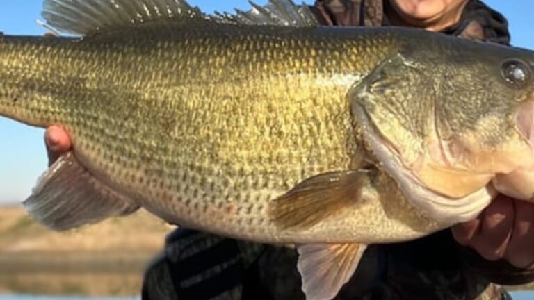 「そのまま抜きあげると…デカい！」魚の本能に刺さったルアーが“丸呑み”…。「鮒を捕食する個体に効果的か？」