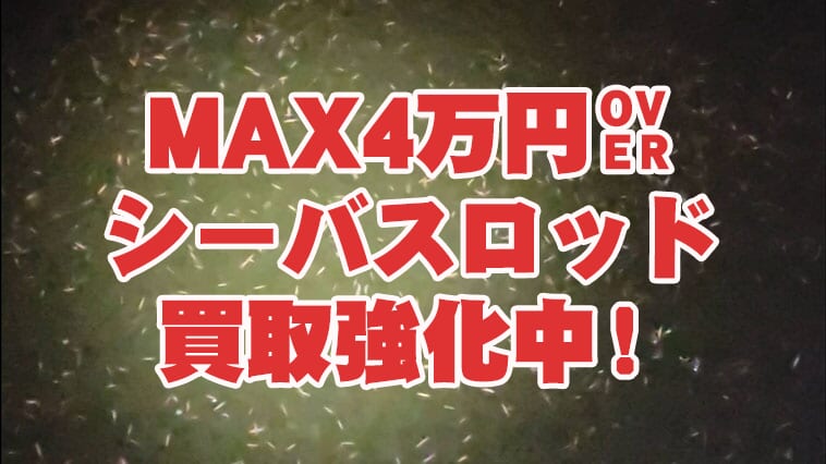 バチ抜けはもう飽きた人に朗報!?シーバスロッド驚きの高価格買取!