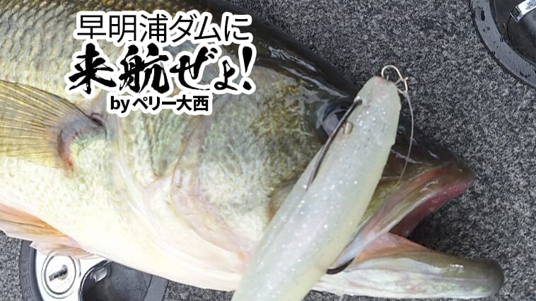 寒の戻りで魚が浮いたらヴァラップを巻くべし!!【早明浦ダムに来航ぜょ！】