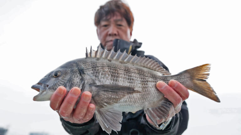 【釣り百景】“かかり釣り”でベテランが狙うクロダイ。良型サイズを目指した行方は？