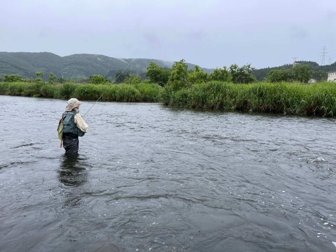 ｜超激ムズはガセ！『釣り初心者』でも実は簡単な釣りが毛鉤釣り【フライフィッシングの教科書】