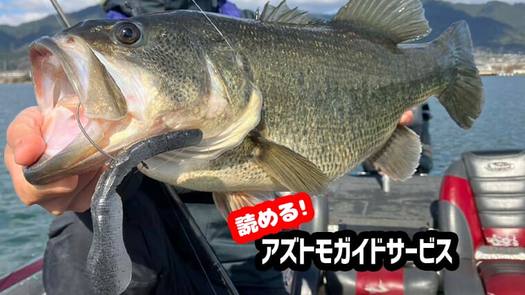 ｜【濁らないならフラットサイドクランクも！】春の琵琶湖でデカバスを狙うなら「フルサイズ」フリーリグ！【無料で読めるアズトモガイドサービス】