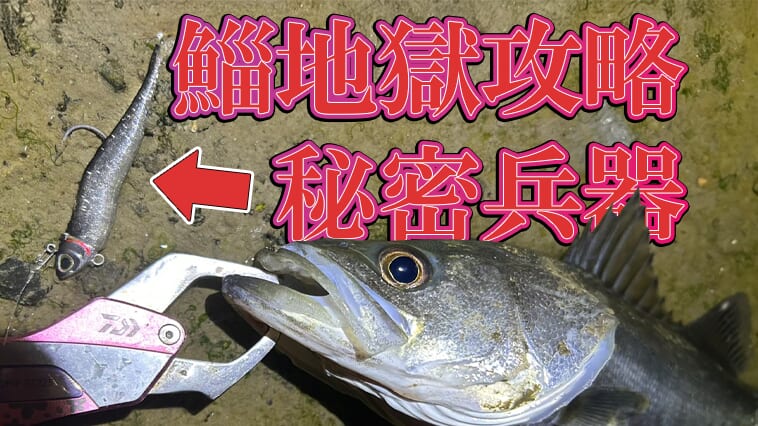 ｜大量発生の「ボラ」…だけどシーバスは近くに絶対いる！そんなときの攻略方法をDAIWAのNEWフェイスが解説！