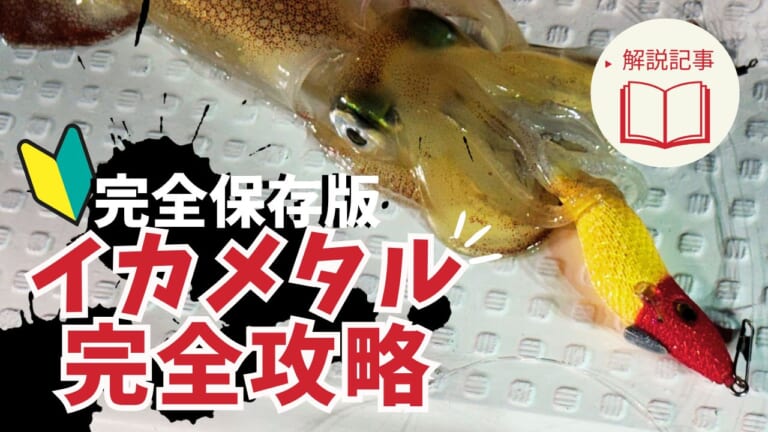 【入門】イカメタルの始め方! タックル準備から実釣のコツまで“読めば分かる”完全攻略!