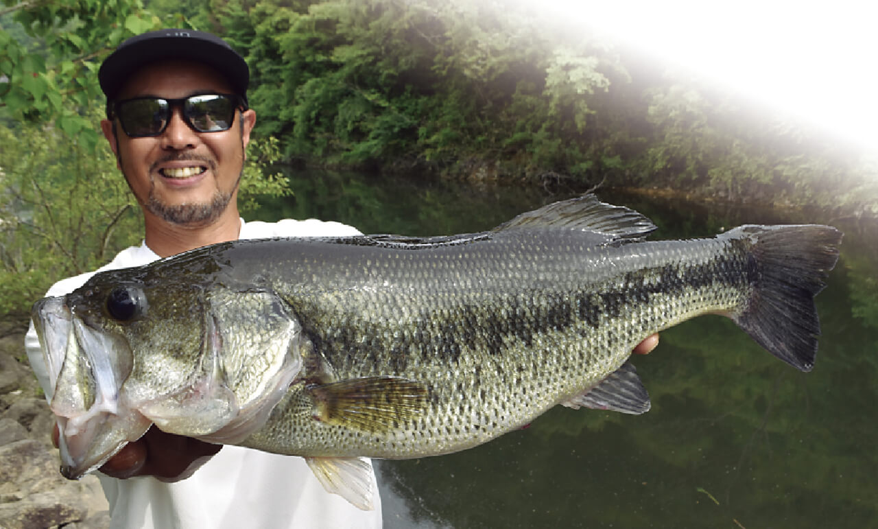 ｜【ベイトロッドの人気ランキング】オカッパリといえばのメーカーがやっぱり強い！トレンドは引き続きハードソリッドか【2024T.O.Y.ベイトロッド部門】