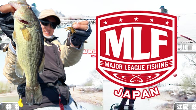 ｜群雄割拠の戦国MLFに〝エイジュ〟が挑む！【カスミ最強への道】