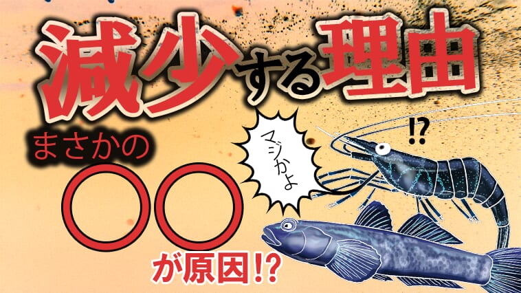 ブラックバスの胃の中を長年調べて見えてきた小魚やエビ・ゴリの減少に影響を与えている重要な要素