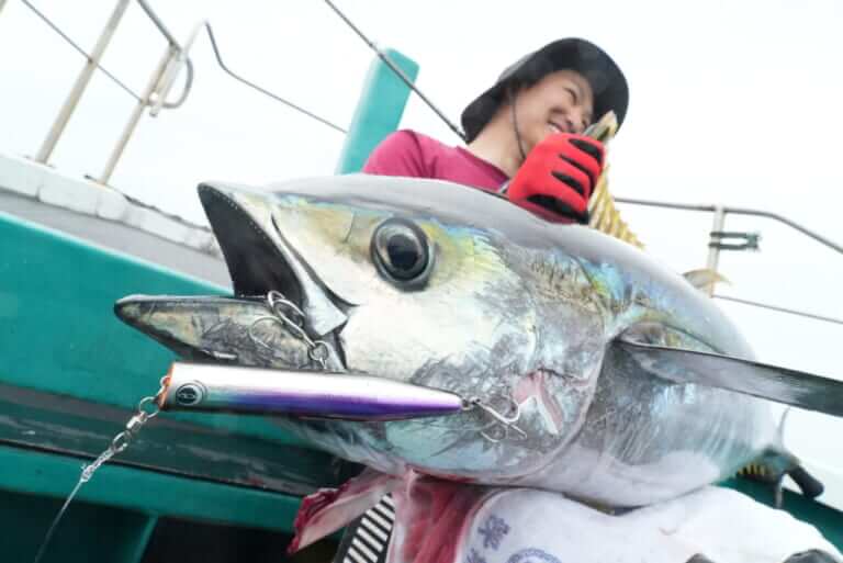 キハダマグロ釣り｜ルアーで釣れたキハダマグロ｜〈初心者の釣り〉“キハダマグロ”の生態／釣りシーズン／釣り方／仕掛け／食べ方【アングラーを魅了する洋上のイエロースプリンター】