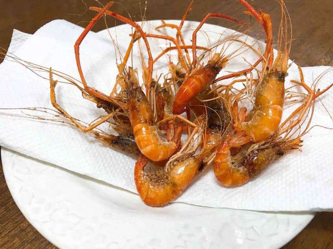 テナガエビ釣り｜食べ方｜素揚げ｜〈初心者の釣り〉“テナガエビ”の生態／釣りシーズン／釣り方／仕掛け／食べ方【水辺の風物詩、手軽で奥深い小さな大物】