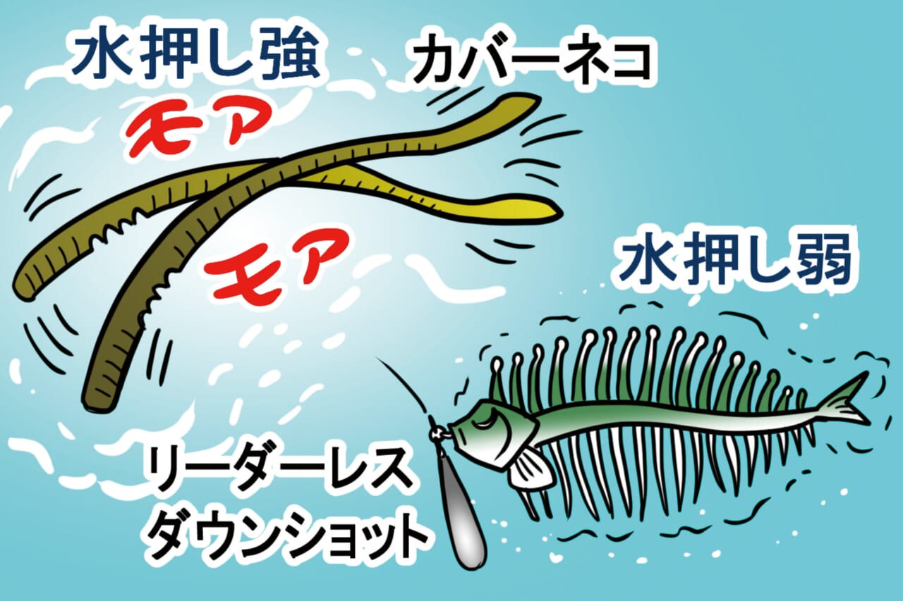 ｜【リーダーは50cmが最高⁉】最先端スタイル『PEベイトフィネス』の魅力とは？