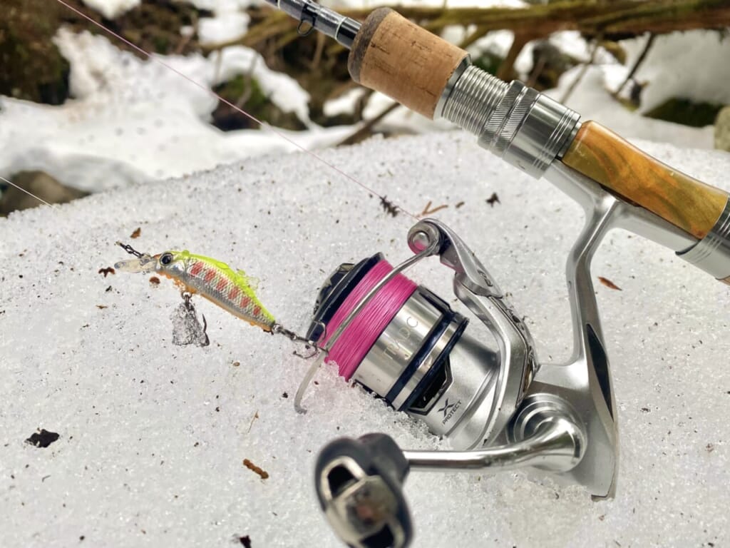 アマゴ釣り｜スピニングリール｜【渓流に煌めく朱点の宝石、その輝きを追う】“アマゴ”の生態／釣りシーズン／釣り方／仕掛け／食べ方〈初心者釣り知識〉